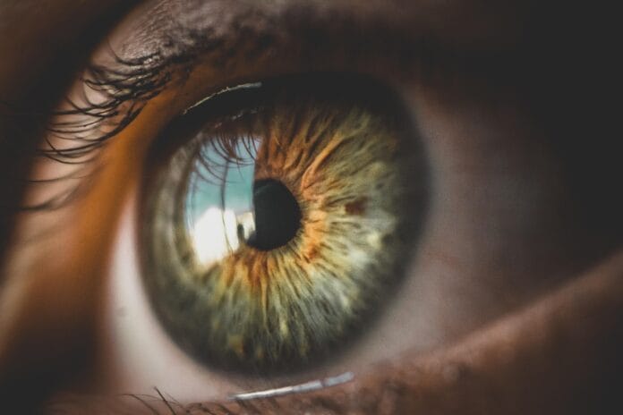 bniique-eye-5248678_1920