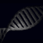 Wirus HPV u mężczyzn – objawy urologiczne, testy DNA i ryzyko powikłań