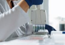 Wirus HPV u mężczyzn – objawy urologiczne, testy DNA i ryzyko powikłań Wirus HPV u mężczyzn – objawy urologiczne, testy DNA i ryzyko powikłań